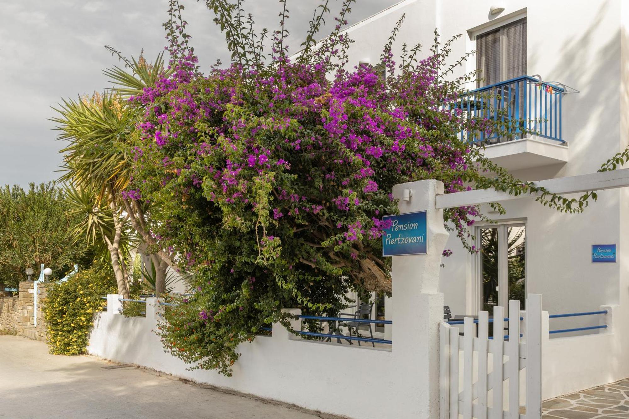 Pension Piertzovani Hotel Párosz Kültér fotó